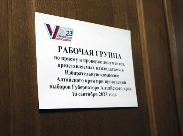 Прием документов от кандидатов в губернаторы стартует в Алтайском крае с 19 июля