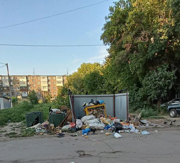 Регоператор не вывозит: жители Рубцовска снова жалуются на заваленные мусором дворы