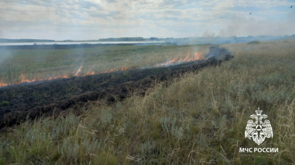 Трава загорелась из-за газового баллона в палаточном лагере на Алтае