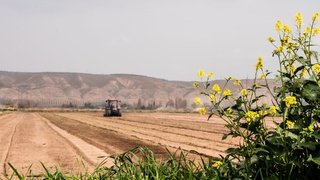 В Алтайском крае решается вопрос о введении режима ЧС из-за засухи