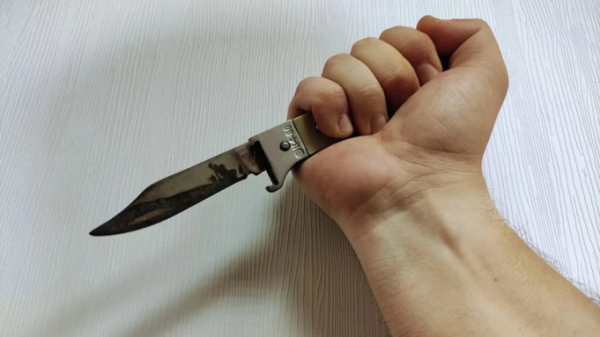 В Барнауле женщина избила ребенка и порезала ножом полицейского