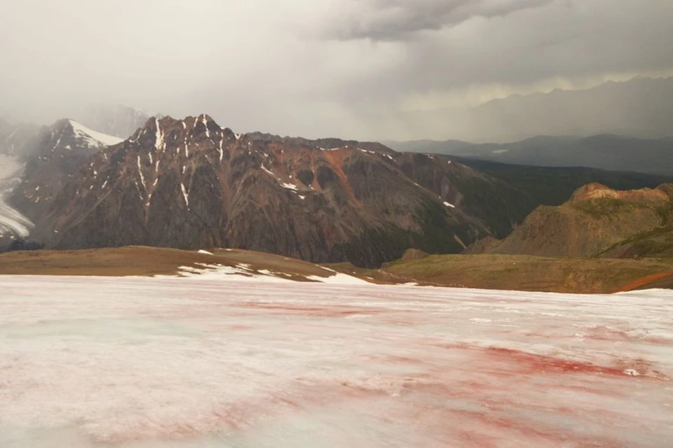 Ледник Водопадный на Алтае изменил свой цвет