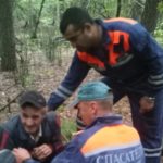 Потерявшегося в лесу пенсионера нашли в Алтайском крае