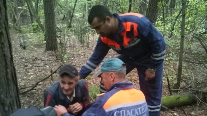 Потерявшегося в лесу пенсионера нашли в Алтайском крае