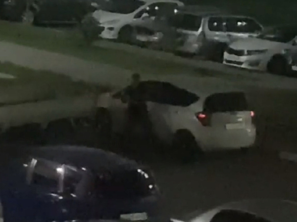В Барнауле мужчина палкой разбил автомобиль во дворе