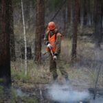 В Иркутской области потушили крупный пожар в заповеднике