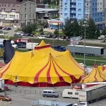 Падение акробатки не помешает цирку продолжить выступления в Барнауле (18+)