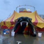 В Барнауле акробатка цирка сорвалась с высоты во время представления
