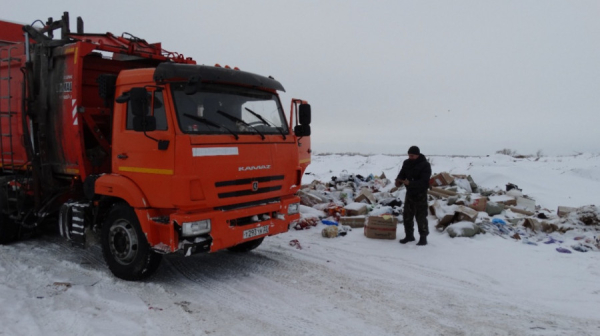 Власти определились с мусорозаводом в пригороде Барнаула. Что с другими «горячими точками»?